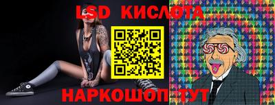 гидра Славгород