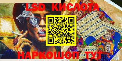 гидра Славгород