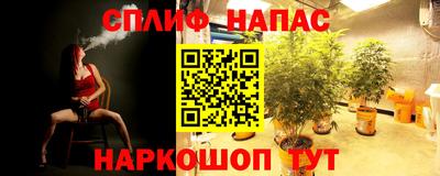 spice Славянск-на-Кубани