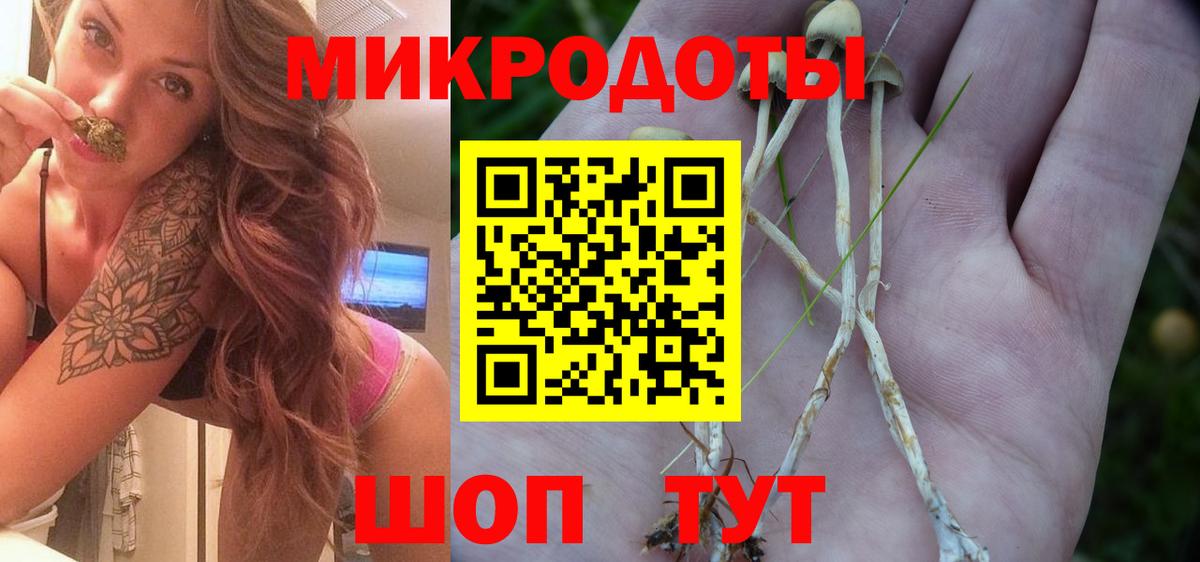 Галлюциногенные грибы прущие грибы  где найти наркотики  Воткинск  Вход с VPN 